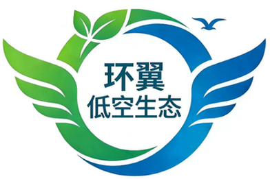 环翼低空生态服务平台LOGO